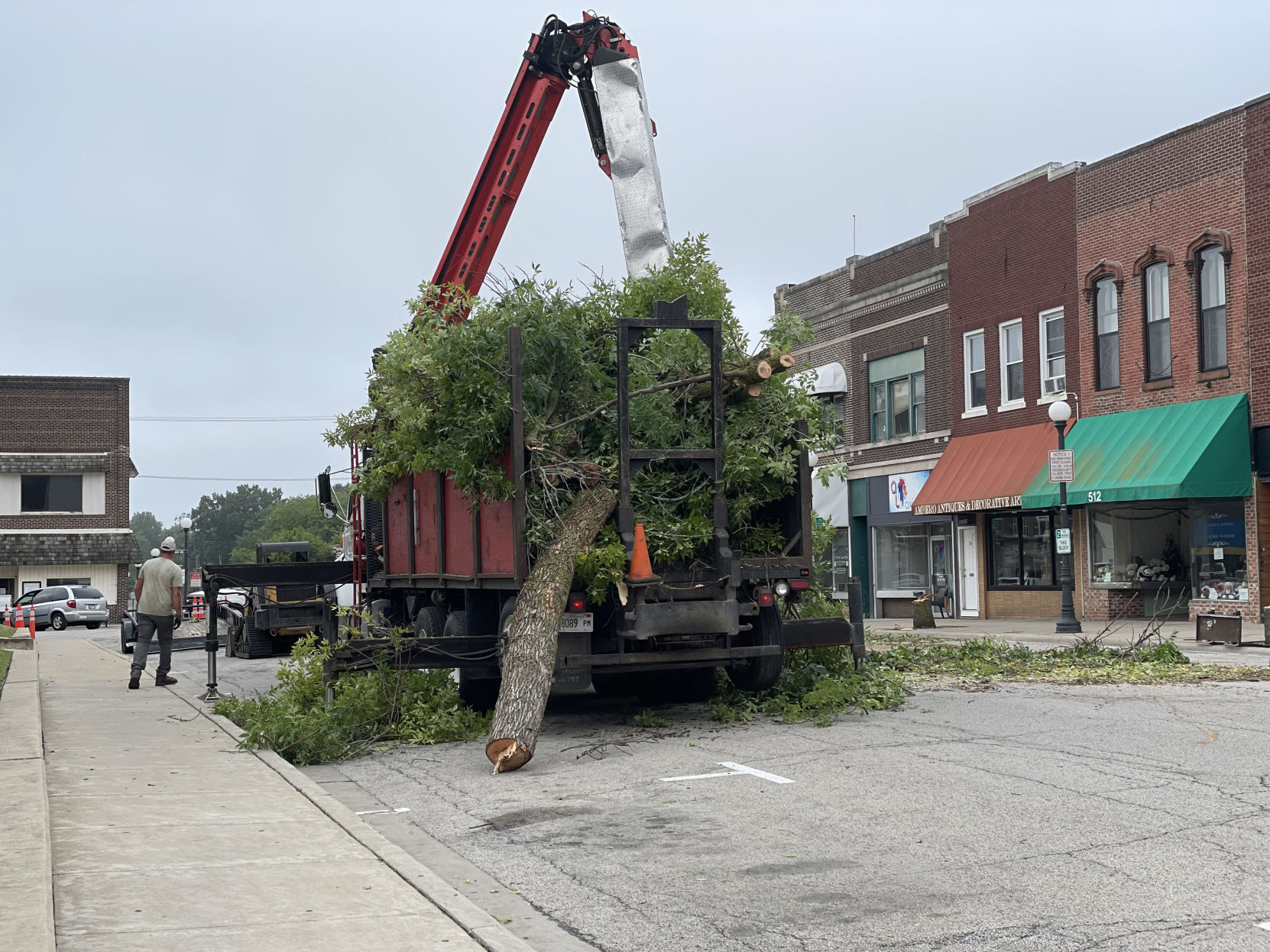Tree Removal